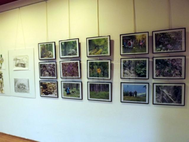 Fotografiile şi desenele din cadrul expoziţiei Ecoturism Art pot fi admirate până pe 22 septembrie la City Gallery