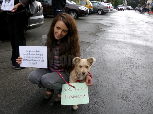 Câinii au fost aduşi la protest pentru încurajarea adopţiei