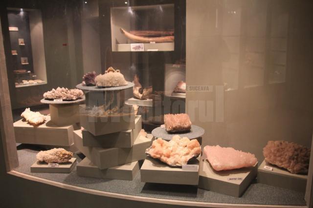 Astăzi este „Ziua porţilor deschise la Muzeul de Ştiinţele Naturii” din Suceava