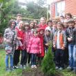 Preşcolarii de la „Aşchiuţă” au plantat arbuşti în curtea grădiniţei