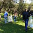 Peste 500 de elevi au făcut curăţenie în Fălticeni