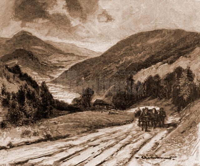 Valea Putnei, văzută de pe Mestecăniş – desen de Mattias Adolf Charlemont (1820-1871)