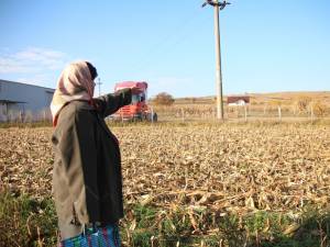 Locul în care au găsit meteoritul, în urma cu 25 de ani