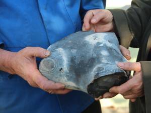 Meteoritul de la Bosanci