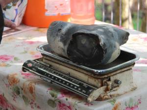 Pus pe cântar, bolovanul aterizat în lanul de porumb are 6,5 kilograme, fără bucăţile desprinse din el cu barosul