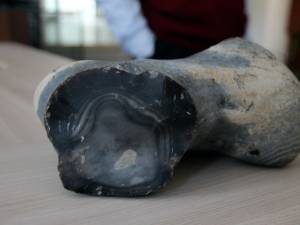 Meteoritul de la Bosanci