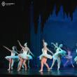 Spectacolul de balet „Lacul Lebedelor”, pe scena Casei de Cultură