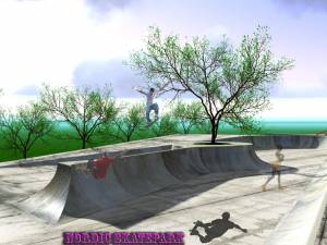 Planul Nordic Skate Park din Suceava