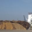 Noua centrala termica a Sucevei va produce caldură din deşeurile lemnoase pe care alţii le aruncau până acum