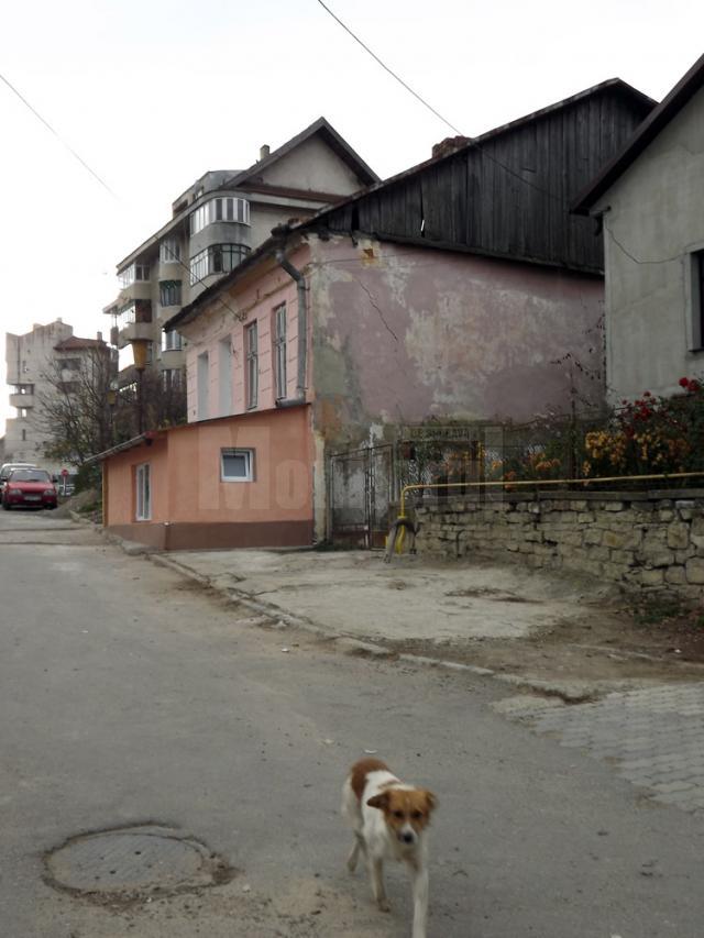 Peisajul urbanistic al Sucevei s-a îmbogățit cu un nou tip de construcție - casă construită pe trotuar, în jurul stâlpului de iluminat