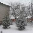 Stratul de zăpadă atinge deja câţiva centimetri în zona de munte a judeţului Suceava