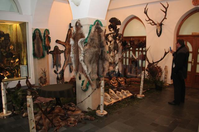 Muzeu cinegetic amenajat pe holurile Direcţiei Silvice Suceava