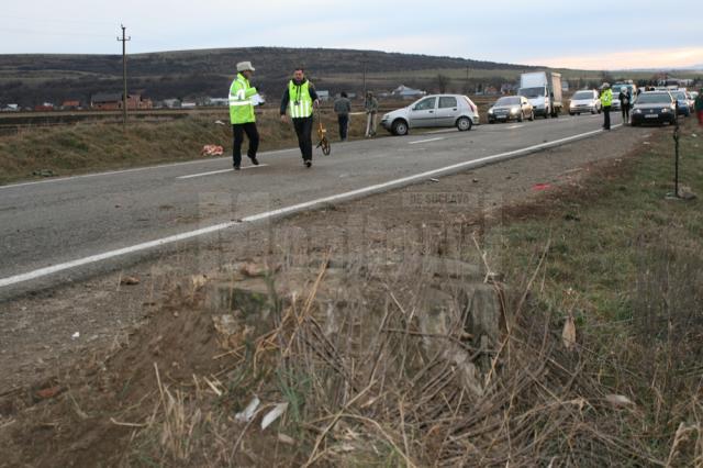 Cioata de copac în care s-a izbit maşina