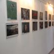 Expoziţie de fotografie în cadrul celei de-a X-a ediţii a Salonului Internaţional de Artă Fotografică