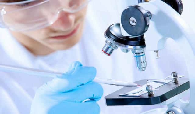 Oamenii de ştiinţă au reuşit să trimită nanomotoare în celule umane vii