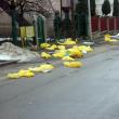 Sacii de deşeuri medicale au fost aruncaţi printre blocuri de firma care spală rufele Spitalului Suceava