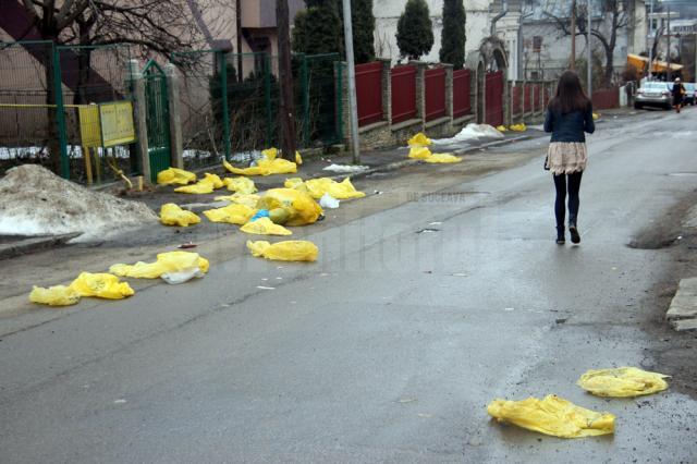 Sacii de deşeuri medicale au fost aruncaţi printre blocuri de firma care spală rufele Spitalului Suceava