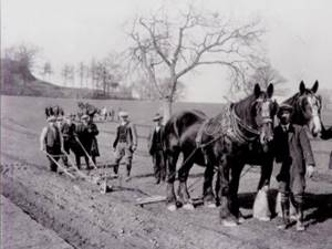 „Muncile agricole de primăvară”