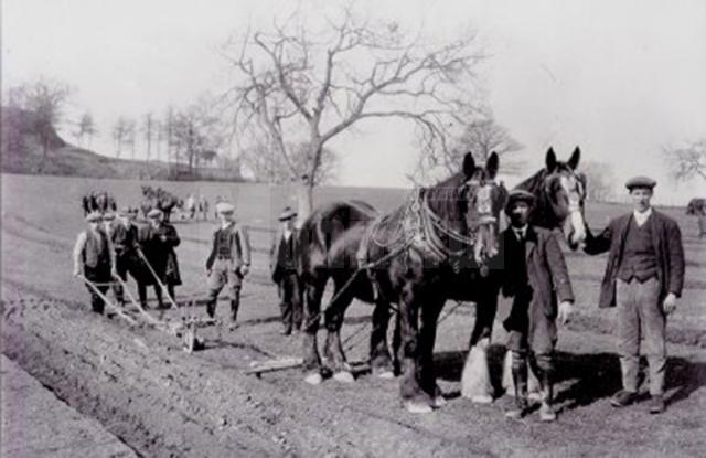 „Muncile agricole de primăvară”