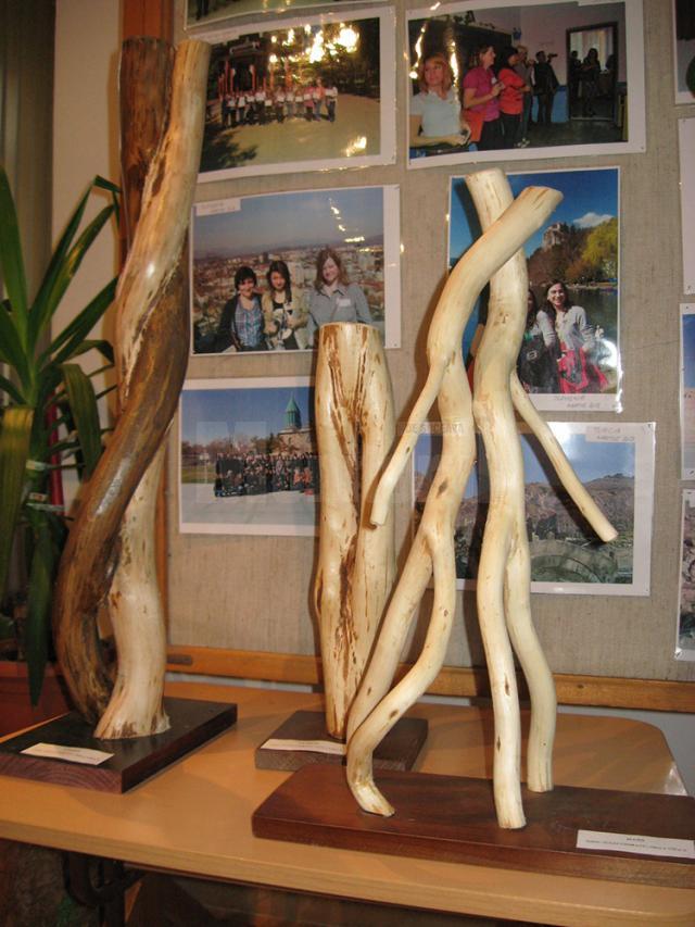 Expoziţie de sculptură în lemn