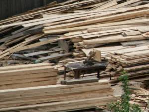 Control pe linia  prevenirii şi combaterii tăierilor ilegale de arbori, a furtului, prelucrării, transportului şi comercializării ilegale a materialului lemnos