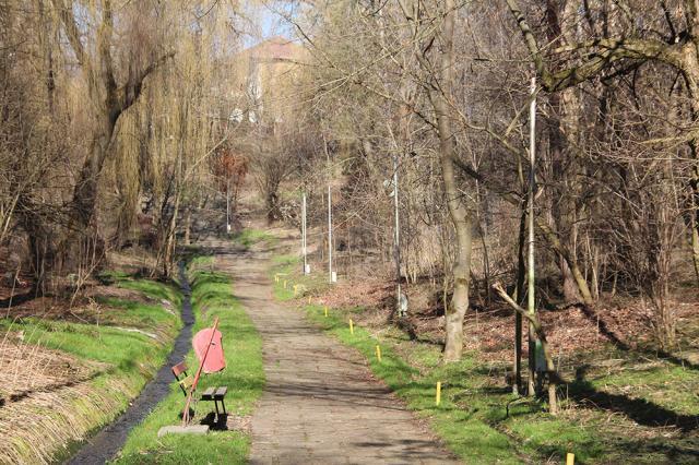 Parcul Şipote, după acţiunea de curăţenie a Direcţiei Silvice Suceava