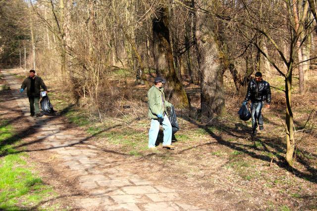 Silvicultorii s-au mobilizat pentru a face curat în cel mai mare spaţiu verde din municipiul Suceava