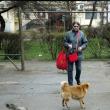 Costuri imense pentru prinderea câinilor vagabonzi, în ofertele trimise Primăriei Suceava