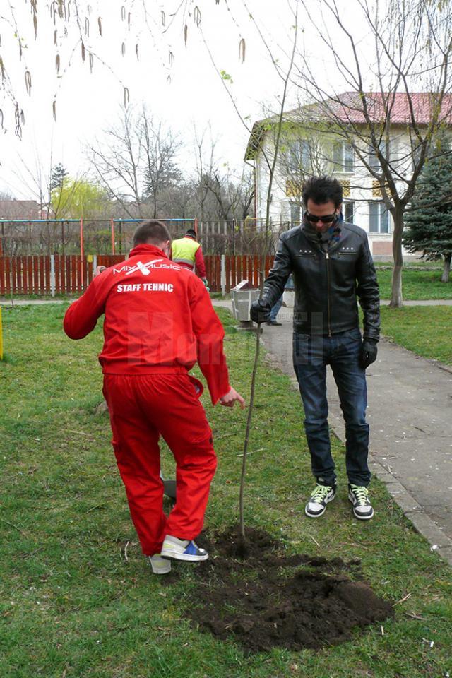 Vedetele au plantat copaci la Fălticeni şi Câmpulung Moldovenesc