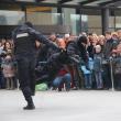 Luptătorii Jandarmeriei au făcut din exerciţiile demonstrative un adevărat show