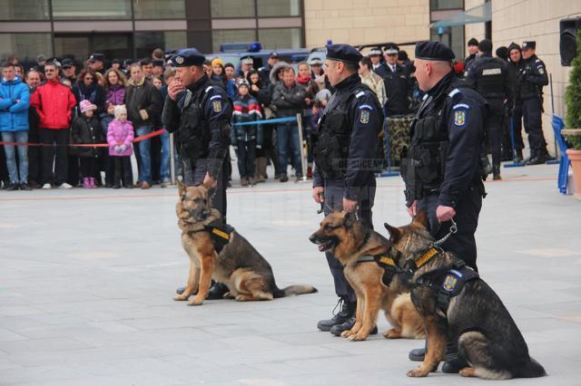 Cagulişti, focuri de armă, câini dresați şi o simulare a unui atac terorist în față la mall