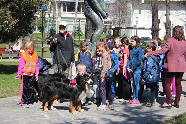 Demonstraţii cu câini pregătiţi pentru misiuni de salvare, pentru elevii Şcolii Nr. 4 Suceava