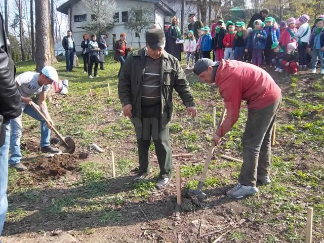 Micuţii au udat puieţii, au acoperit gropile, au tasat solul şi au ales copăcei de care vor avea grijă