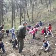 Elevii şcolilor 8 şi 9 din Suceava au plantat arbori pe un versant al zonei Zamca