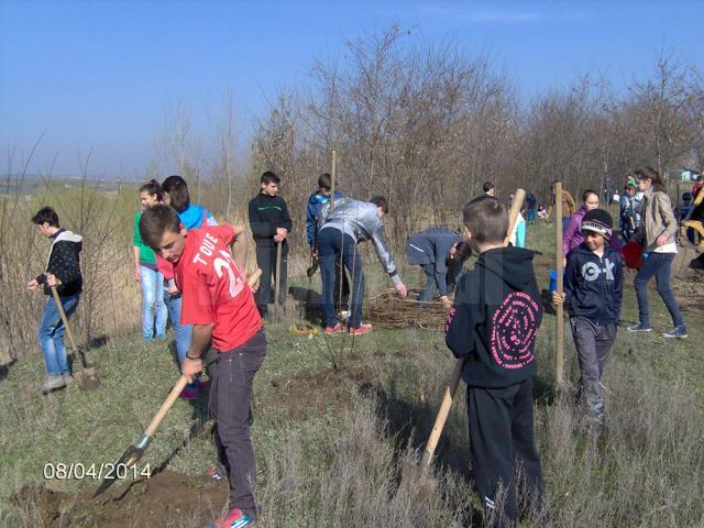 Elevii au derulat activități cu caracter ecologic în lunca râului Suceava