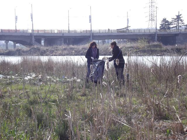 Elevii au derulat activități cu caracter ecologic în lunca râului Suceava