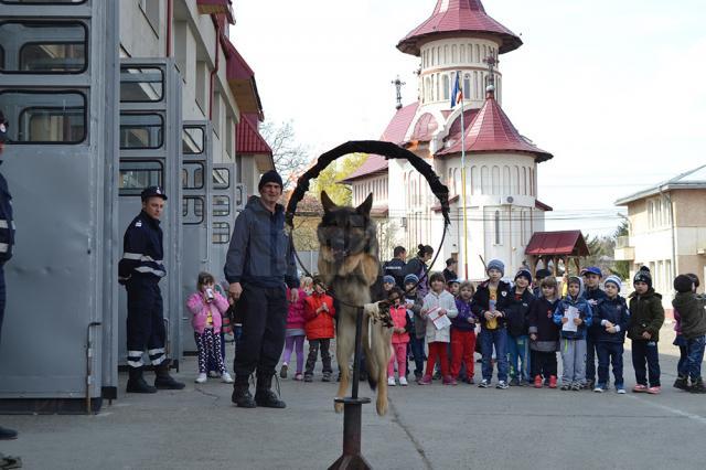 „Vedeta” pompierilor a fost Oly, câinele salvator