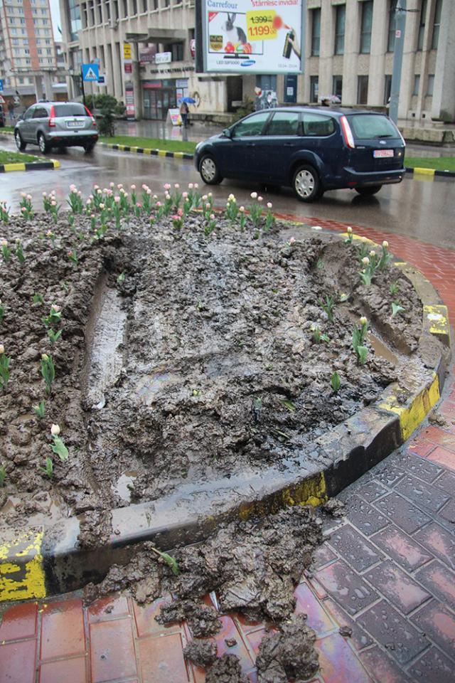 Rondul de flori din sensul giratoriu de lângă Casa de Cultură, distrus de un şofer neatent