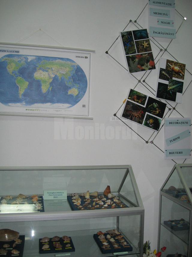 „Din lumea adâncurilor”, la Muzeul de Ştiinţele Naturii Suceava