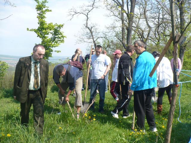 Zeci de voluntari s-au mobilizat pentru a continua campania „Rădăcini și Oxigen pentru Zamca”