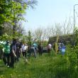 Zeci de voluntari s-au mobilizat pentru a continua campania „Rădăcini și Oxigen pentru Zamca”