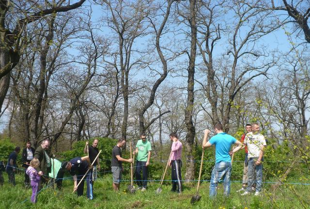 Zeci de voluntari s-au mobilizat pentru a continua campania „Rădăcini și Oxigen pentru Zamca”