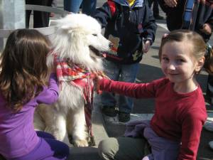 Peste 500 de câini, înscrişi la expoziţia chinologică Cupa Bucovina 2014