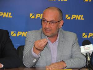 Liderul PNL Suceava, Alexandru Băișanu