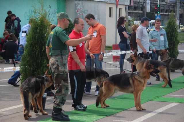 Aproape 550 de câini de rasă s-au întrecut în cele două zile de concurs