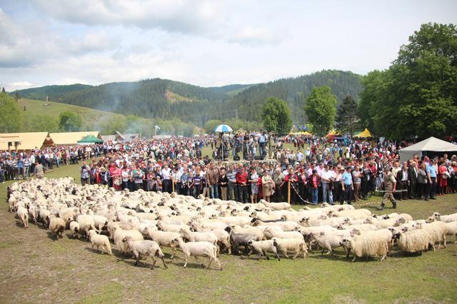 Hora Bucovinei a adus ieri la Bucşoaia mii de oameni din toate colțurile judeţului