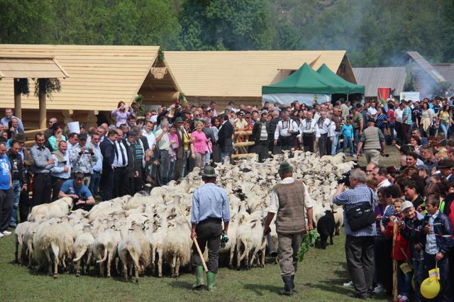 Hora Bucovinei a adus ieri la Bucşoaia mii de oameni din toate colțurile judeţului