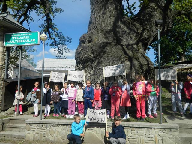 Simpozionul Național „Arborii Ocrotiți – simbol al vitalității, diversității și frumuseții”, ediţia I