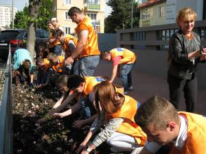Democrat-liberalii suceveni au plantat ieri peste 1.500 de flori pe aleea din fața sediului organizației municipale Suceava a partidului