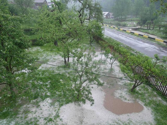 O puternică furtună, însoţită de grindină a afectat ieri satele Poiana Micului şi Pleşa